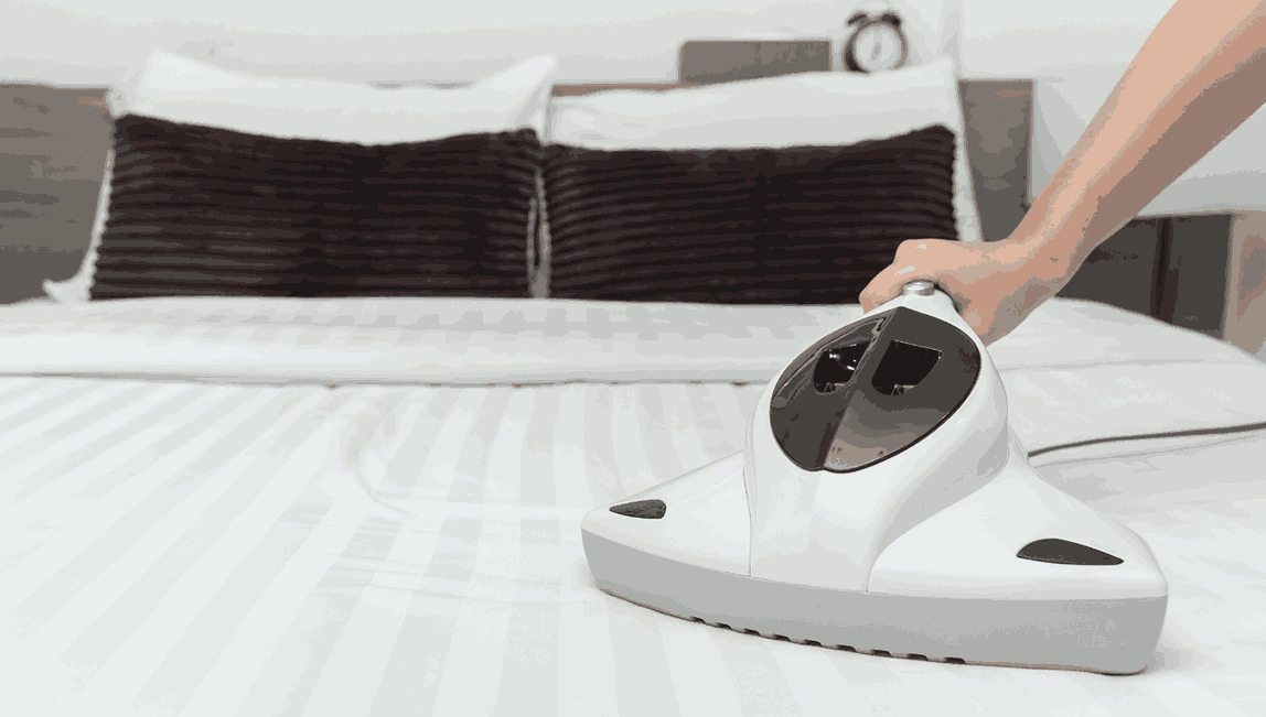 Professional Mattress Cleaning Millbrook